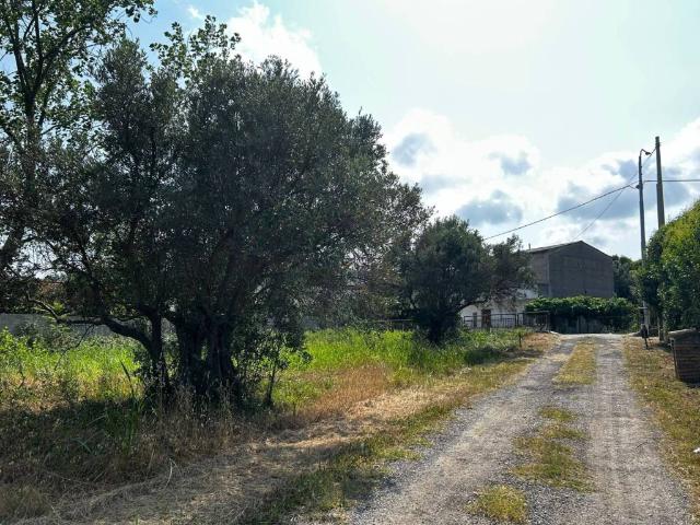 Terreno in vendita a Calabria, Catanzaro