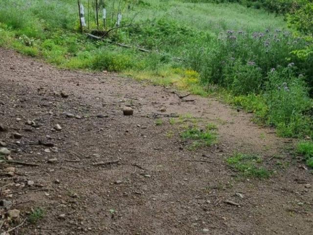 Terreno in vendita a Gagliano, Calabria