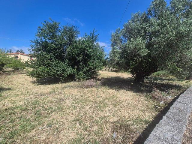 Terreno in vendita a Gagliano, Calabria