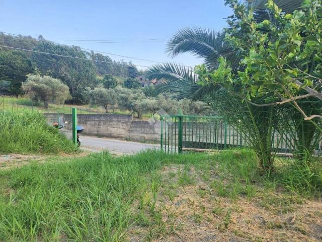 Terreno in vendita a Calabria, Catanzaro