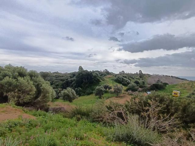Terreno in vendita a Calabria, Catanzaro