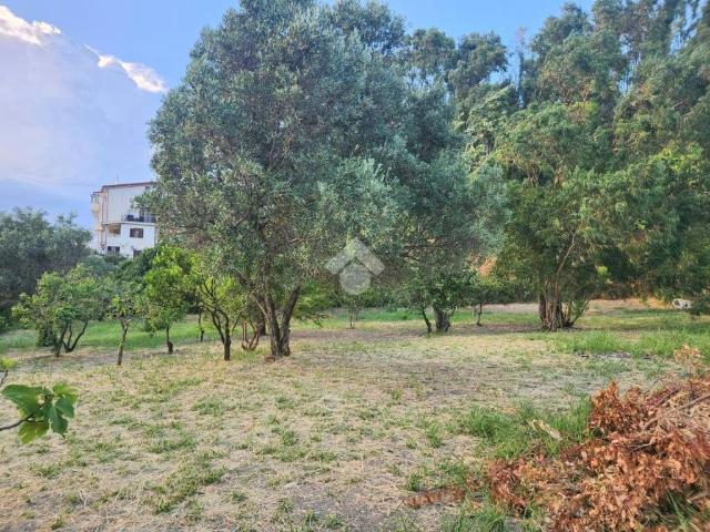 Terreno in vendita a Calabria, Catanzaro