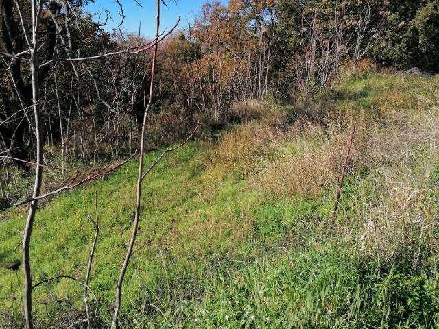 Terreno in vendita a Mater Domini, Catanzaro