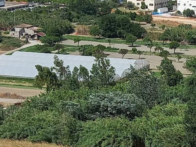 Terreno in vendita a Calabria, Catanzaro