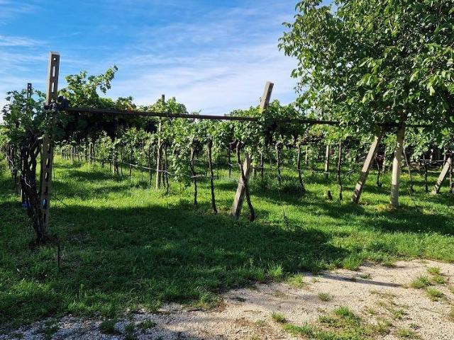Terreno in vendita a Cavaion Veronese, Veneto
