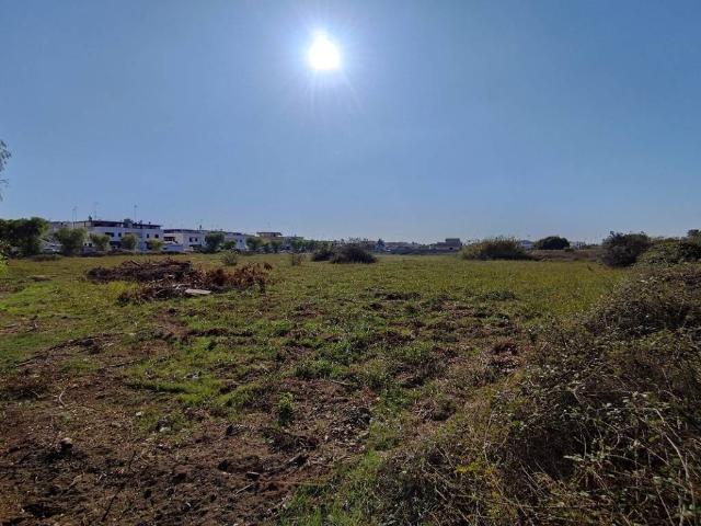 Terreno in vendita a Puglia, Lecce