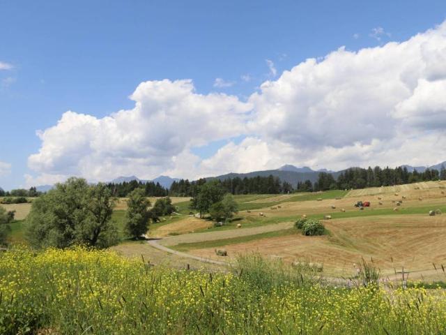 Terreno in vendita a Comunità della Val di Non, Cavareno