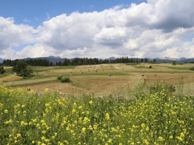 Terreno in vendita a Comunità della Val di Non, Cavareno
