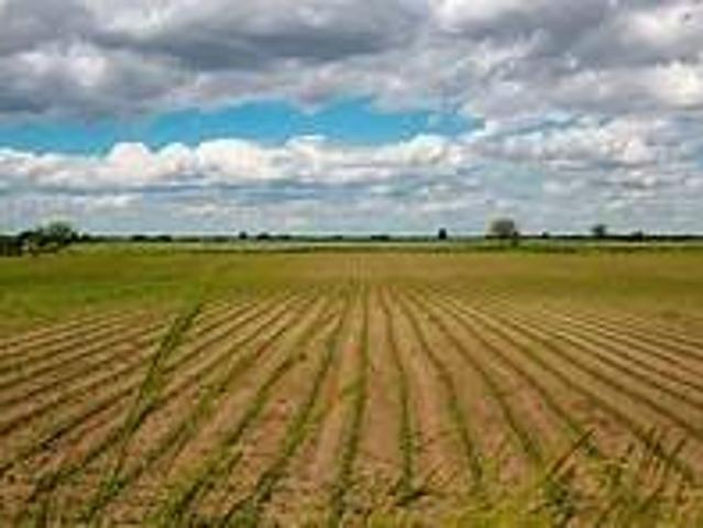 Terreno in vendita a Pieve, Cavaso del Tomba