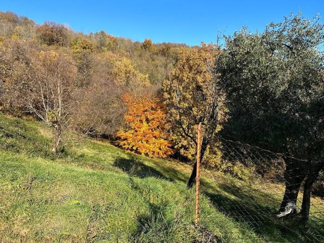 Terreno in vendita a Cavaso del Tomba, Vettorazzi