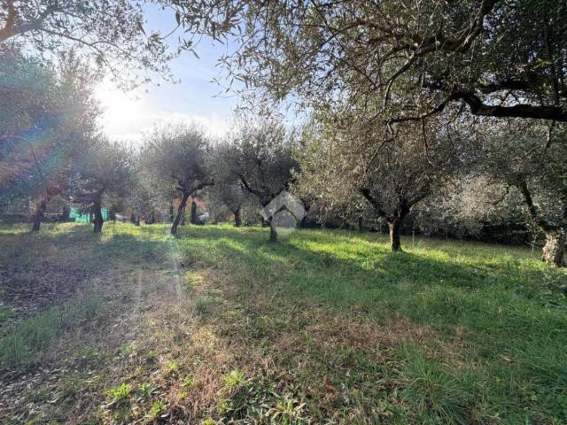 Terreno in vendita a Roma Capitale, Lazio