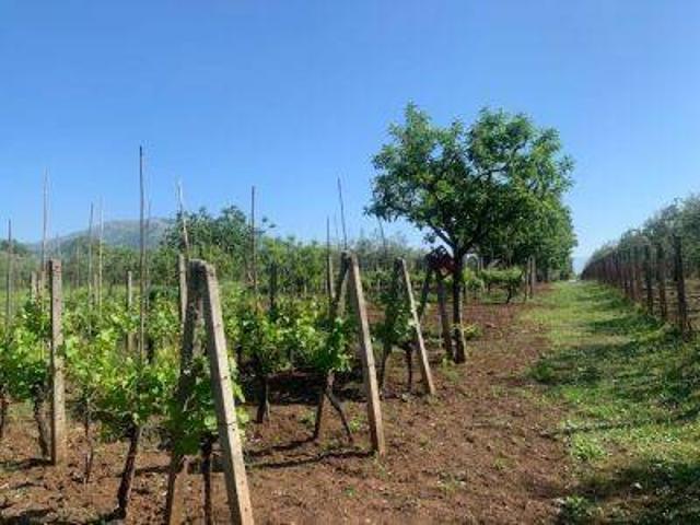 Terreno in vendita a Roma Capitale, Lazio
