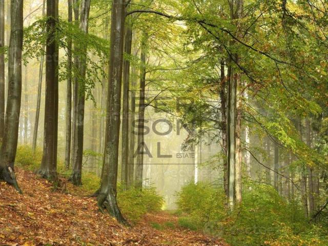 Terreno in vendita a Comunità della Valle dei Laghi, Cavedine