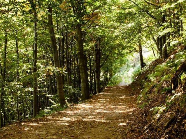 Terreno in vendita a Comunità della Valle dei Laghi, Cavedine