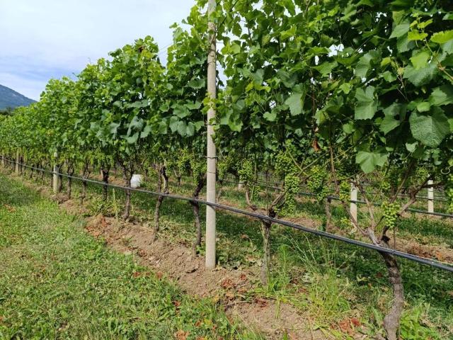 Terreno in vendita a Comunità della Valle dei Laghi, Cavedine