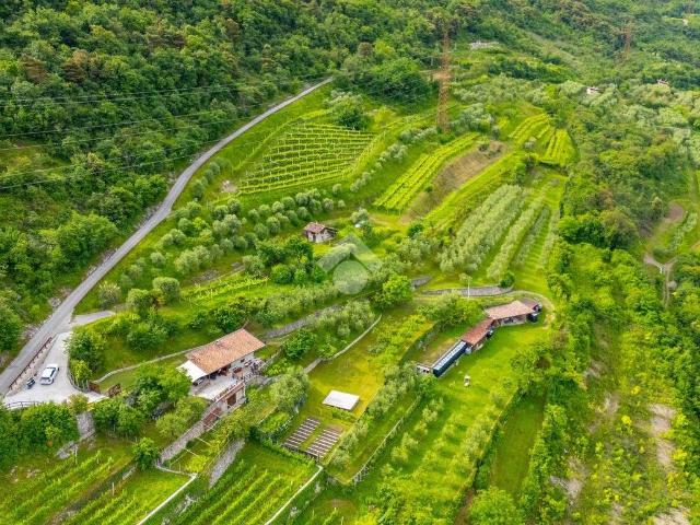 Terreno in vendita a Comunità della Valle dei Laghi, Cavedine