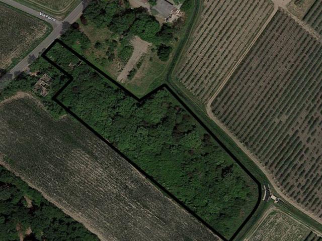 Terreno in vendita a Unione Comuni Modenesi Area Nord, Cavezzo