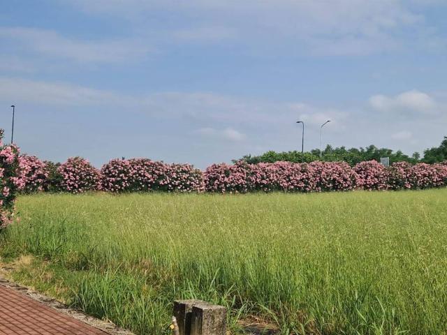 Terreno in vendita a Cavriana, Lombardia