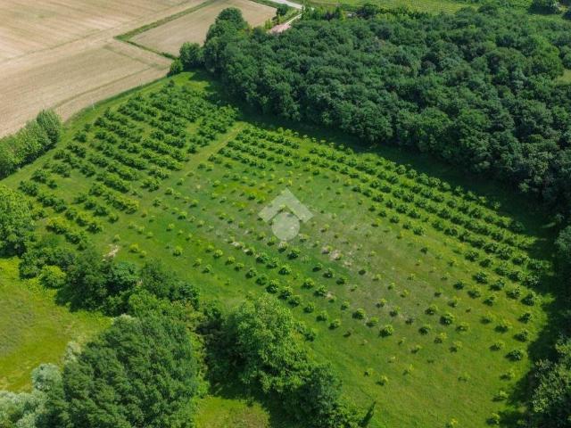 Terreno in vendita a Cavriana, Lombardia