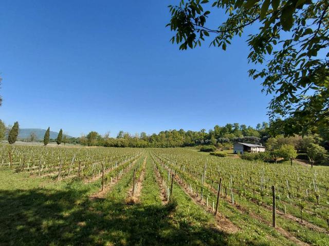 Terreno in vendita a Cazzago San Martino, Lombardia
