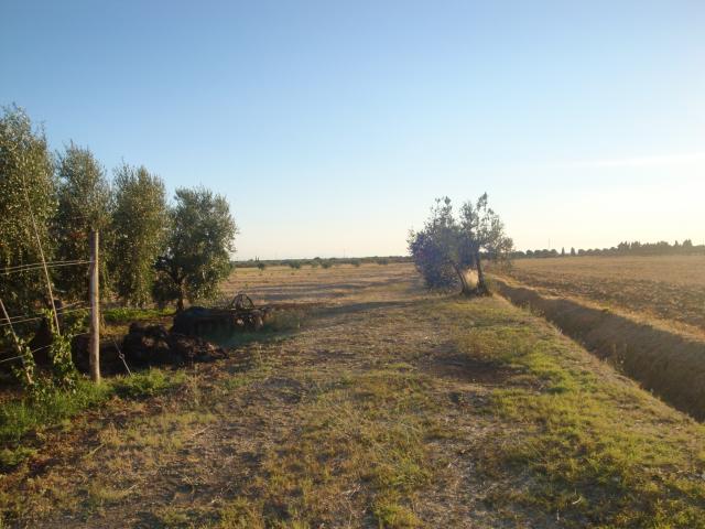 Terreno in vendita a Cecina, Toscana