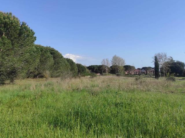 Terreno in vendita a Cecina, Toscana