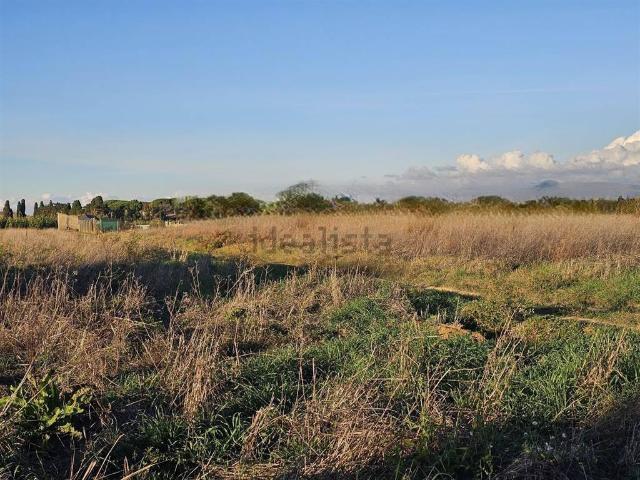 Terreno in vendita a Cecina, Toscana