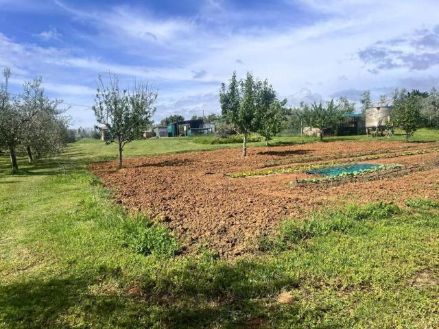Terreno in vendita a Cecina, Toscana