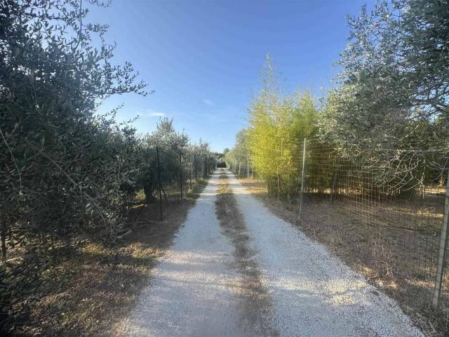 Terreno in vendita a Cecina, Toscana