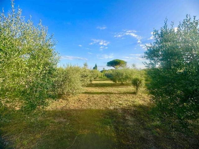 Terreno in vendita a Cecina, Toscana