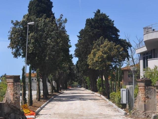 Terreno in vendita a Cecina, Toscana