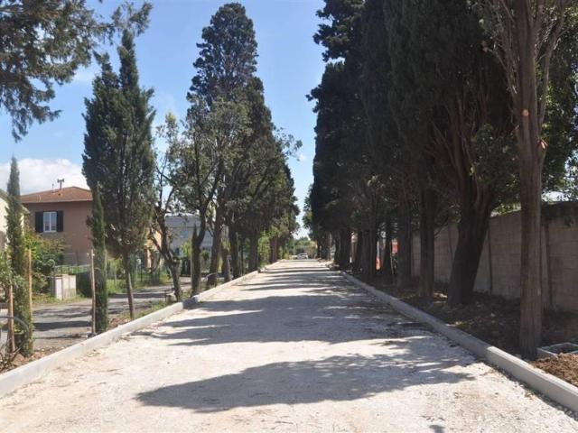 Terreno in vendita a Cecina, Toscana