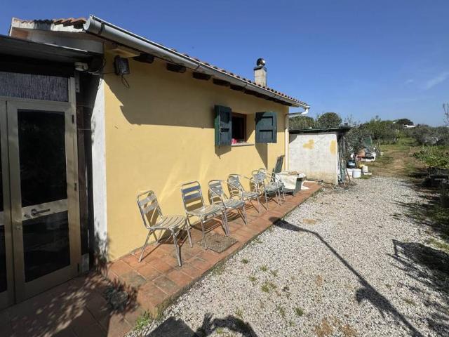 Terreno in vendita a Cecina, Toscana