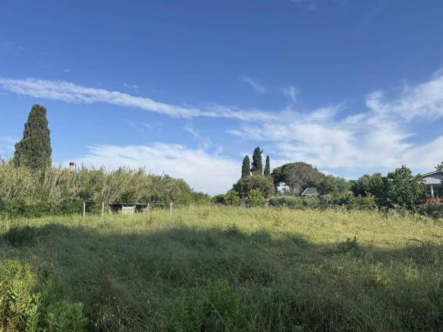 Terreno in vendita a Cecina, Toscana