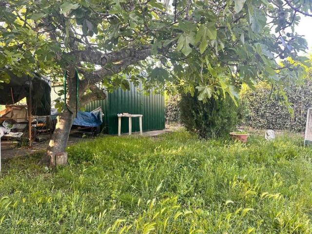 Terreno in vendita a Cecina, Toscana