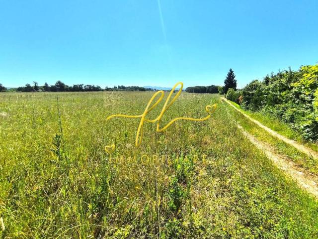 Terreno in vendita a Cecina, Toscana