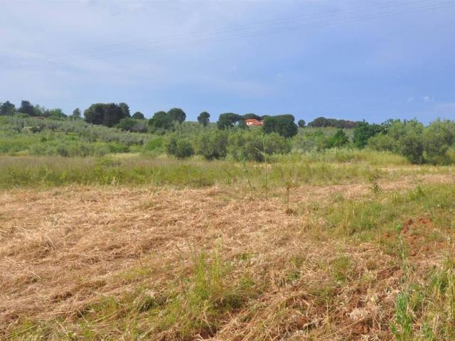 Terreno in vendita a Cecina, Toscana