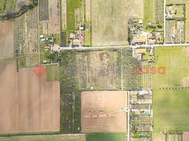Terreno in vendita a Cecina, Toscana