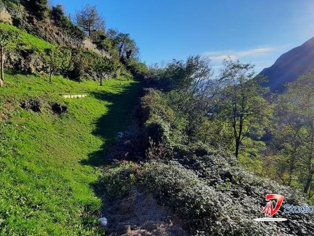 Terreno in vendita a Comunità montana della valle Camonica, Cedegolo