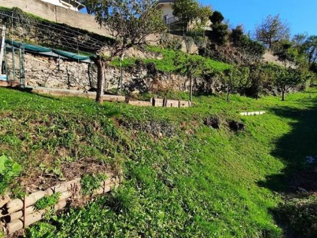 Terreno in vendita a Comunità montana della valle Camonica, Cedegolo