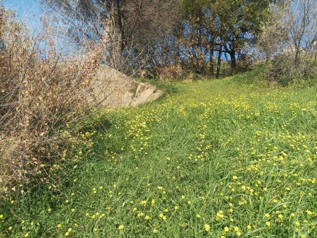 Terreno in vendita a Cefalù, Sicilia