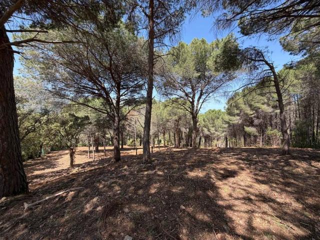 Terreno in vendita a Cefalù, Sicilia