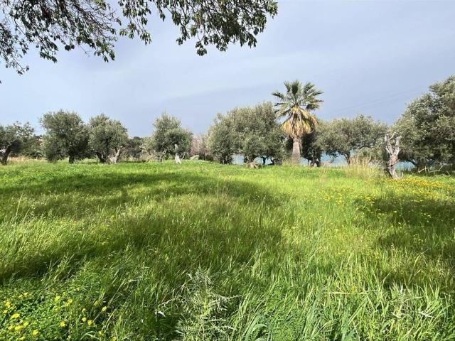 Terreno in vendita a Cefalù, Sicilia