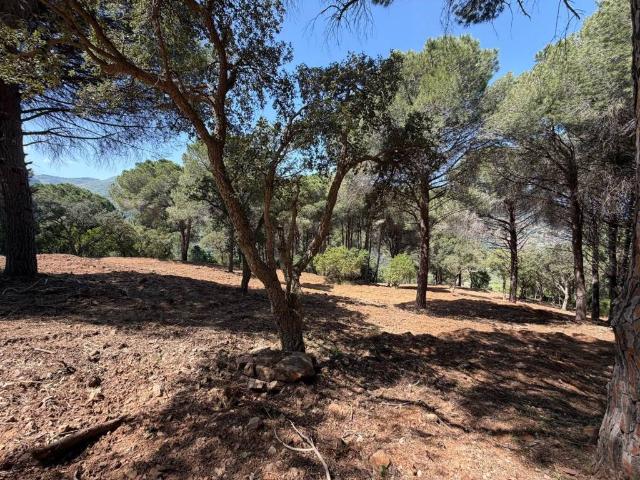 Terreno in vendita a Cefalù, Sicilia