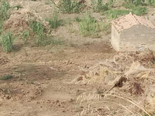 Terreno in vendita a Lascari, Sicilia