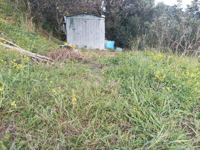 Terreno in vendita a Cefalù, Sicilia