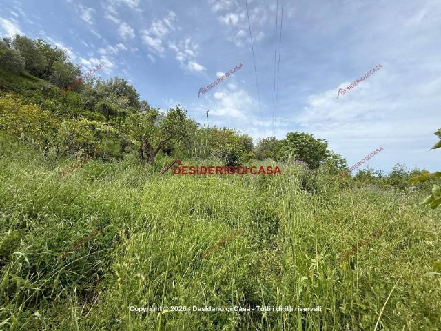 Terreno in vendita a Cefalù, Sicilia