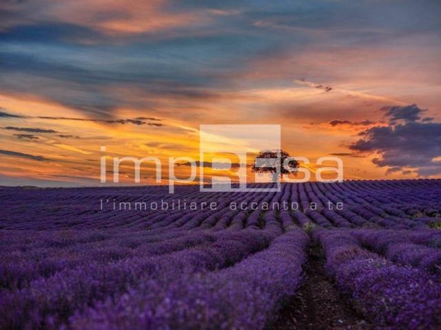 Terreno in vendita a Ceggia, Veneto