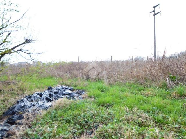 Terreno in vendita a Ceggia, Veneto