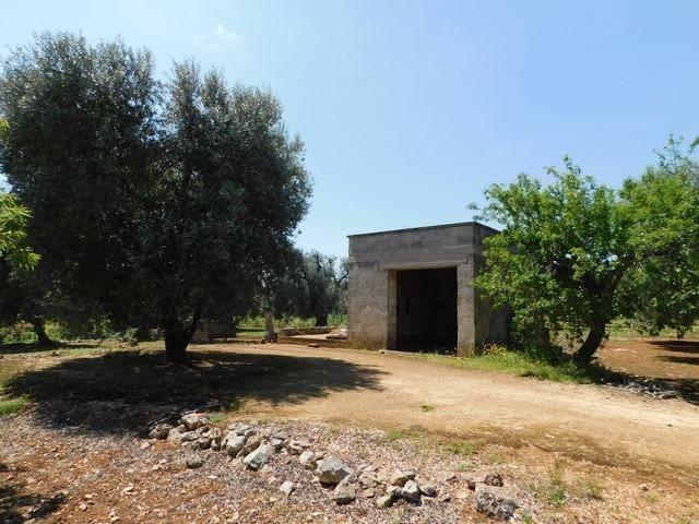 Terreno in vendita a Puglia, Brindisi